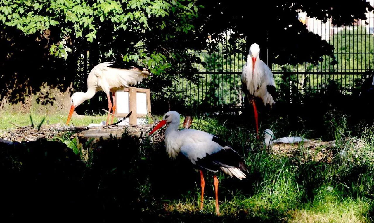 Island Hostel Boedapest Hongarije
