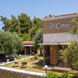 citro-by-the-sea.hotelschalkidiki.net/